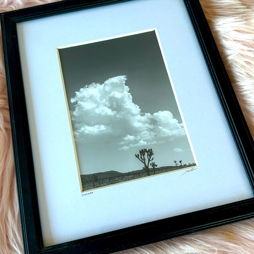 Joshua Tree Photography